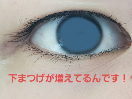 まつげ美容液EX/CEZANNE/まつげ美容液を使ったクチコミ(6枚目)