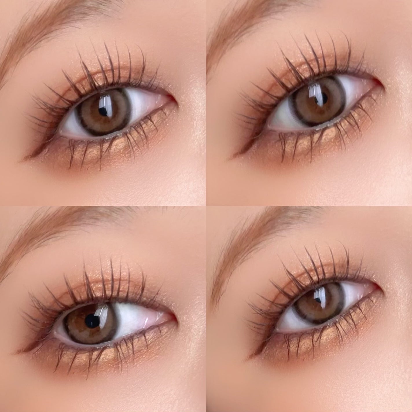 アイカラーレーション/LUNASOL/アイシャドウパレットを使ったクチコミ(5枚目)