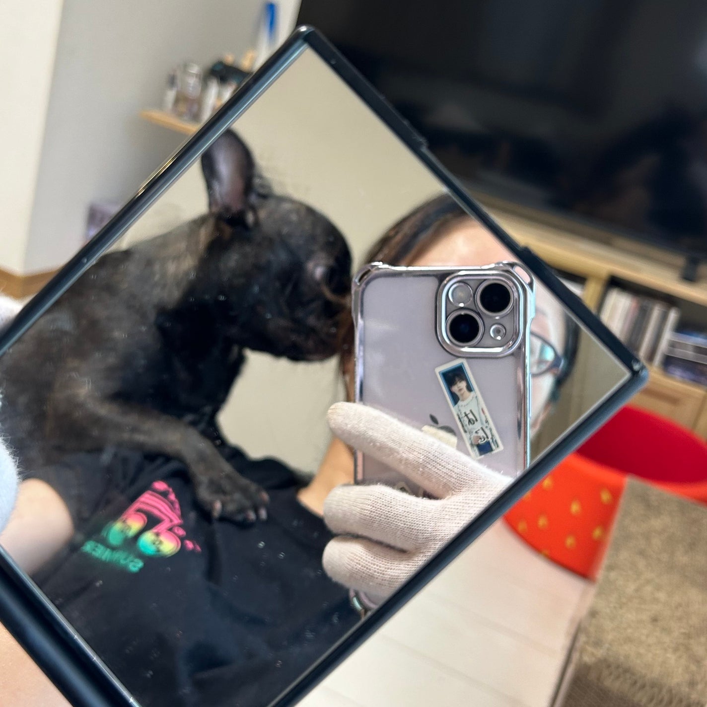 リアルックミラー/ロージーローザ/その他化粧小物を使ったクチコミ(3枚目)