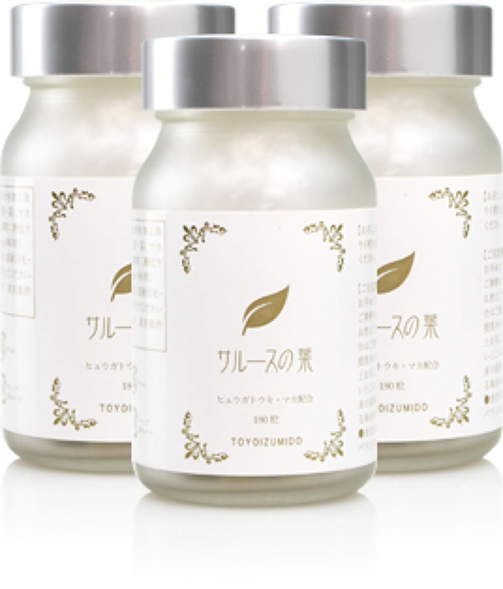 サルースの葉 豊泉堂-TOYOIZUMIDO-