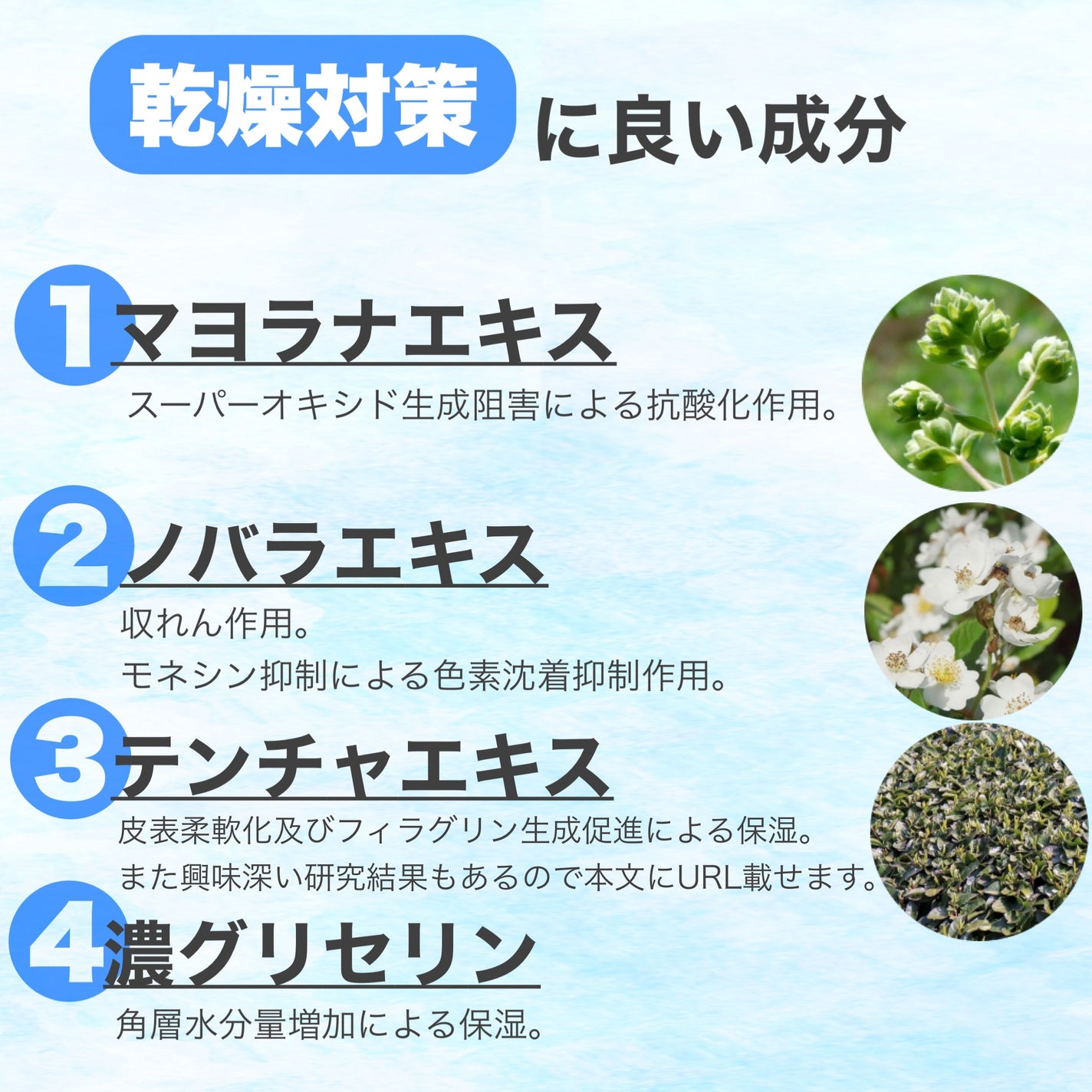 ザ・タイムR アクア/IPSA/化粧水を使ったクチコミ(9枚目)