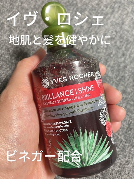 リンシングビネガー シルキーシャイン さらキララズベリー/イヴ・ロシェ/洗い流すヘアトリートメントを使ったクチコミ(1枚目)