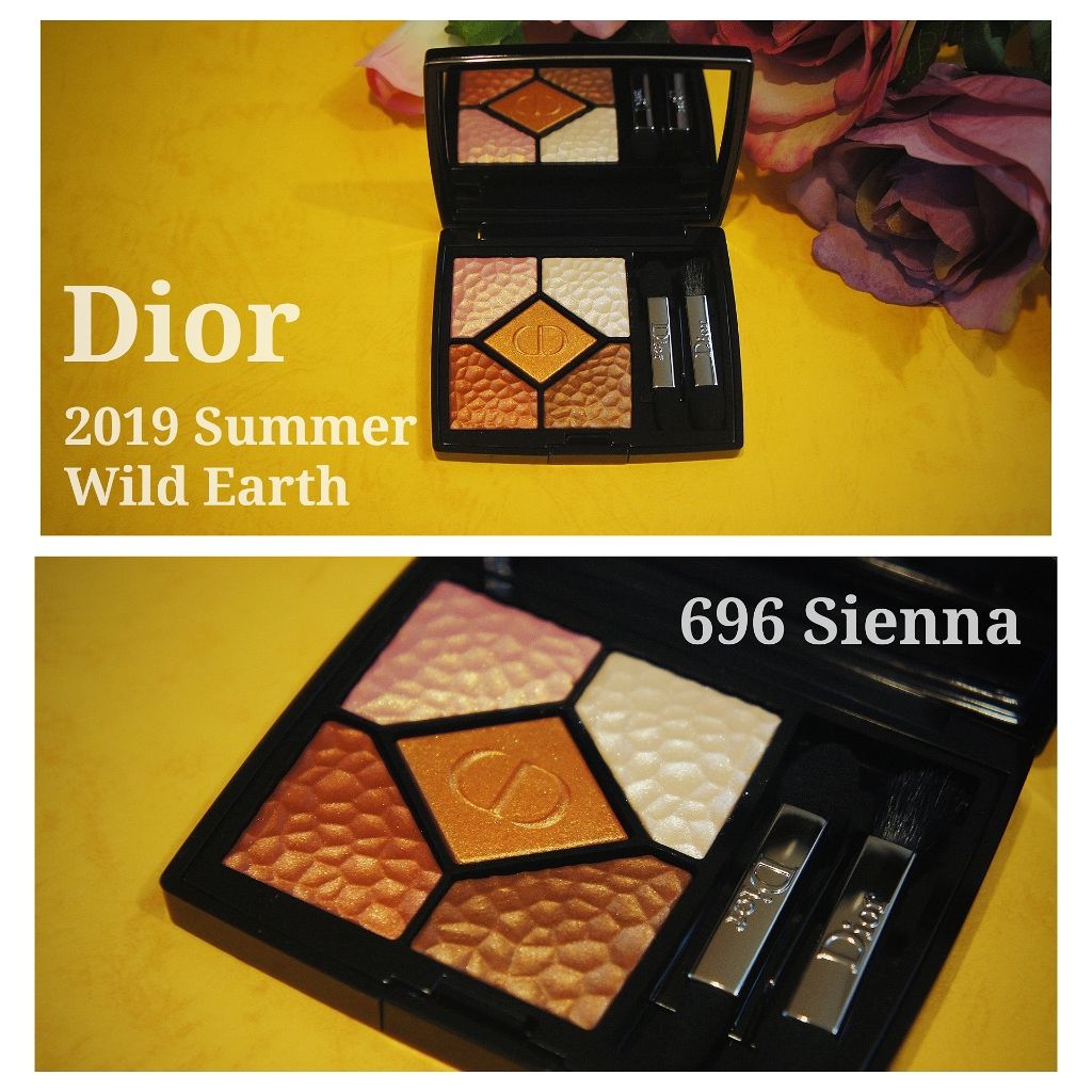 サンク クルール<ワイルド アース>/Dior/アイシャドウパレットを使ったクチコミ(1枚目)
