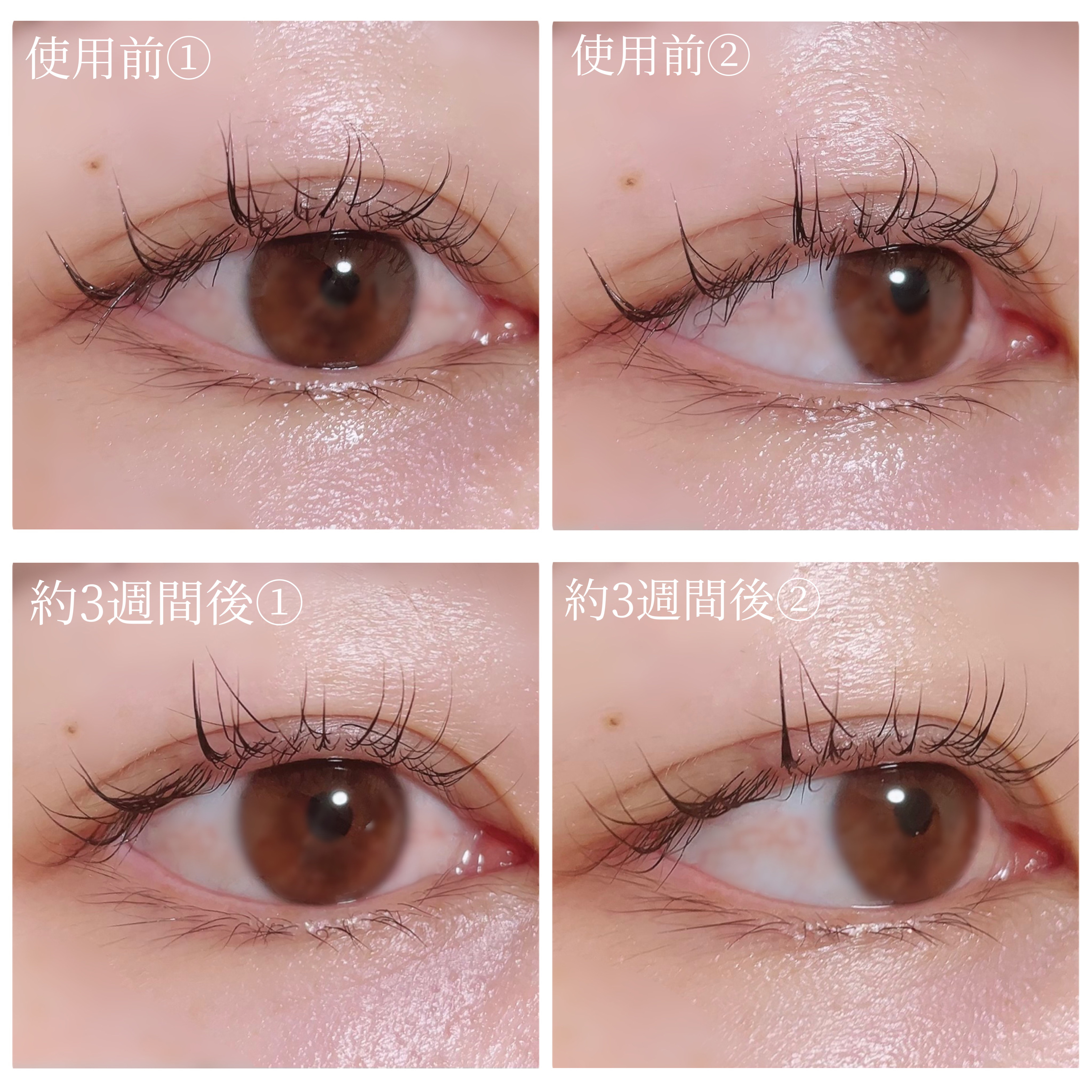 アイラッシュセラム/BASATTO/まつげ美容液を使ったクチコミ（3枚目）