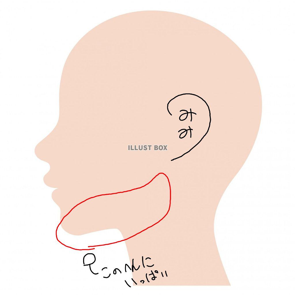 ロゼット洗顔パスタ ホワイトダイヤ/ロゼット/洗顔フォームを使ったクチコミ（2枚目）