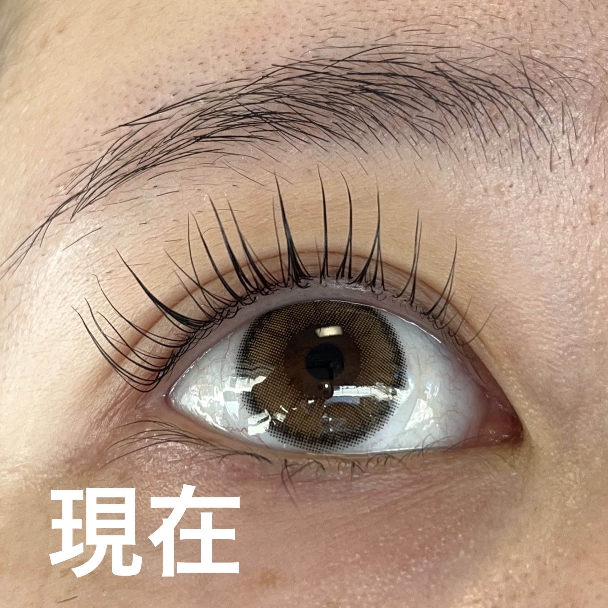 まつげ美容液（まつげ・目もと美容液）/UZU BY FLOWFUSHI/まつげ美容液を使ったクチコミ（3枚目）