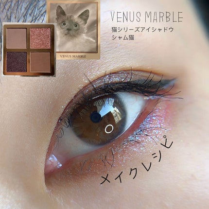 カラーインパクト リキッドライナー/Visée/リキッドアイライナーを使ったクチコミ(1枚目)