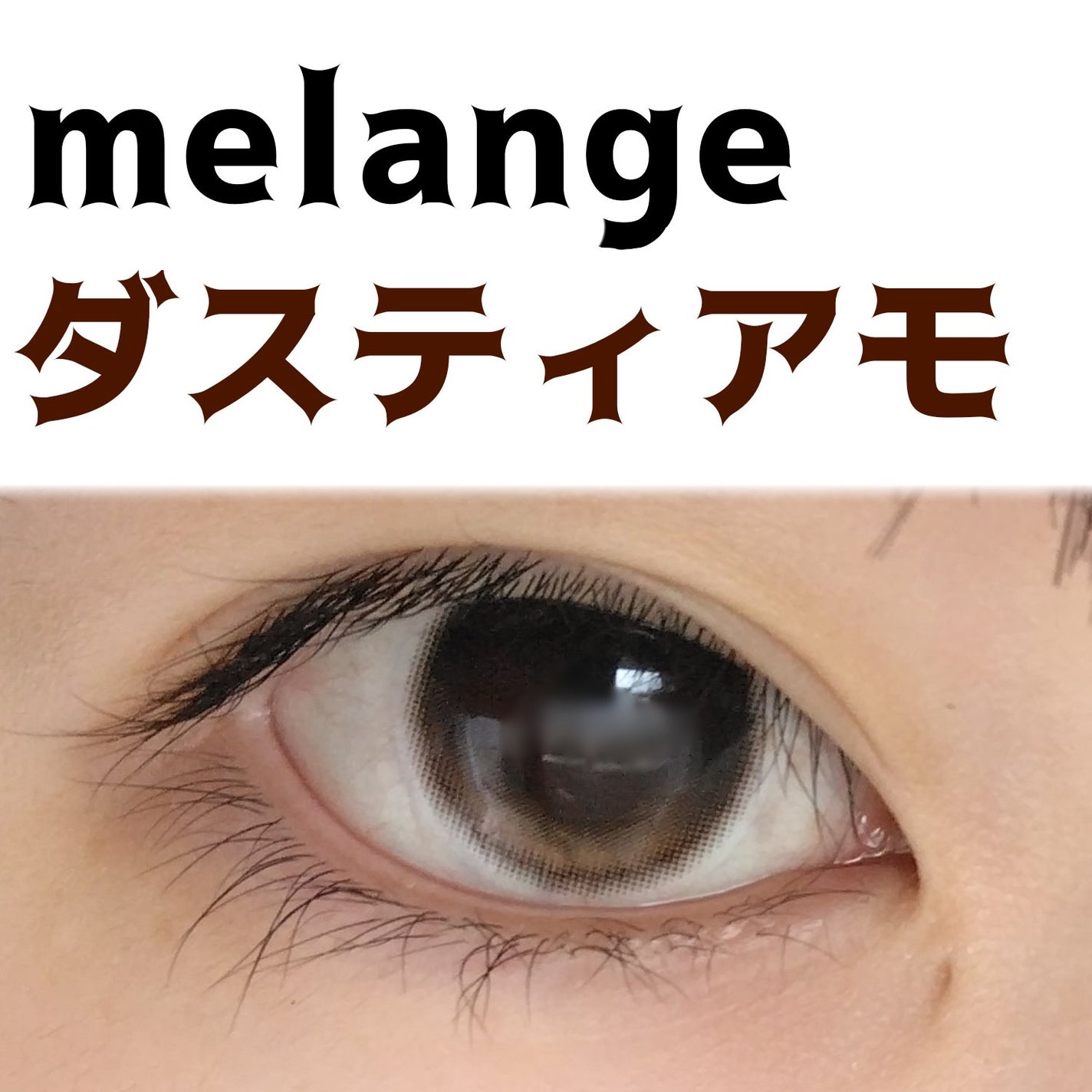 メランジェ シュエット ワンデー/melange+chouette/ワンデー(1DAY)カラコンを使ったクチコミ(1枚目)