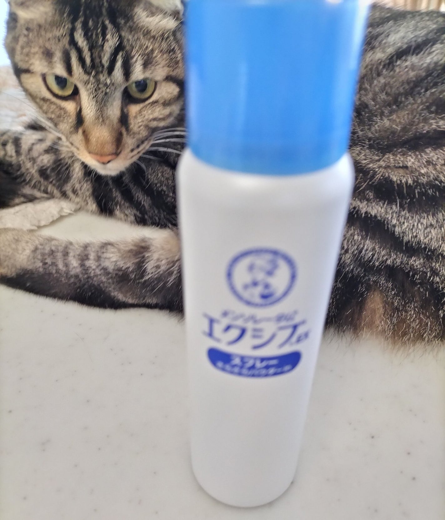 メンソレータムエクシブWスプレー(医薬品)/メンソレータム/その他を使ったクチコミ(1枚目)