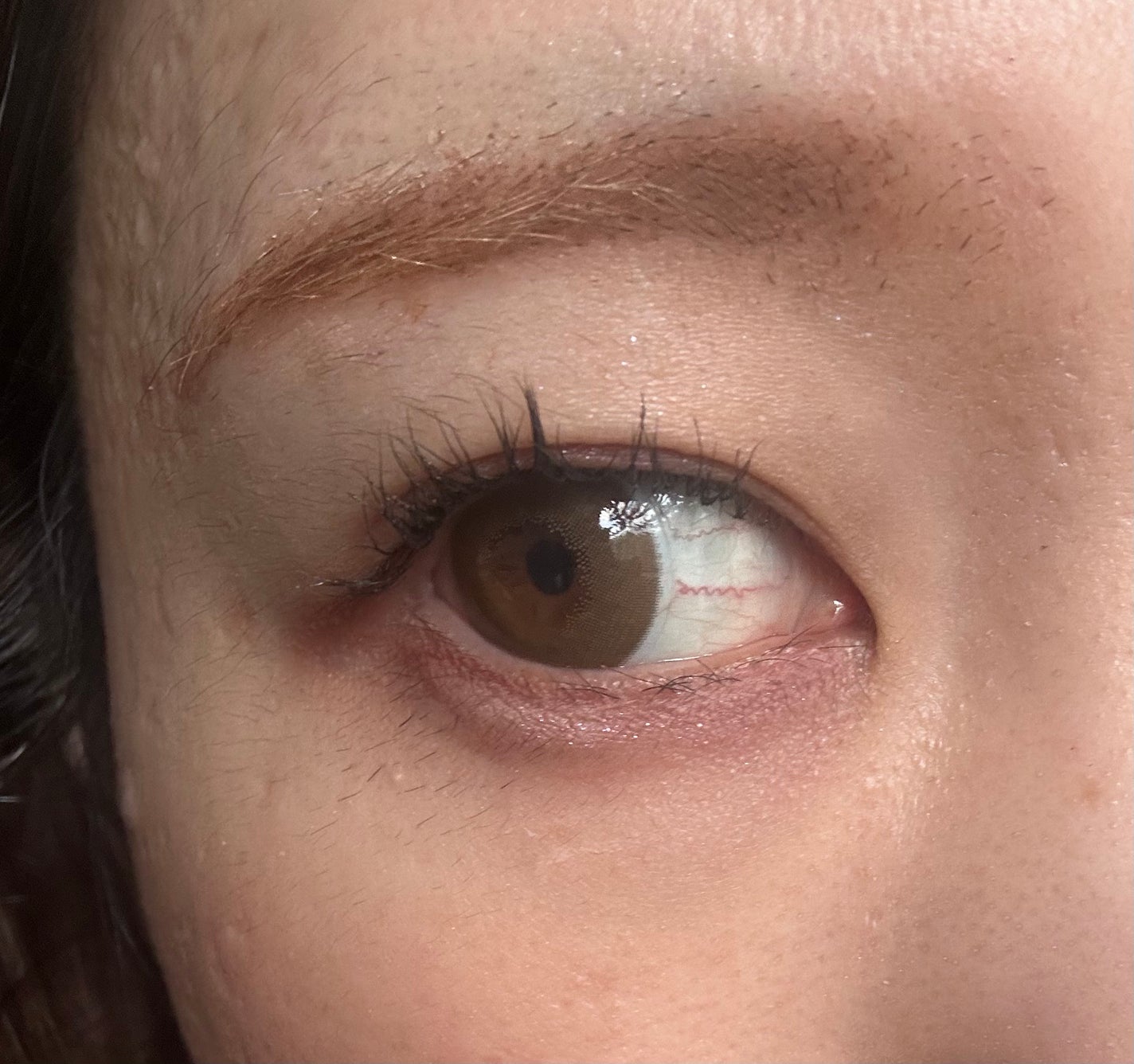 エテュセ アイエディション (マスカラベース)/ettusais/マスカラ下地を使ったクチコミ(5枚目)