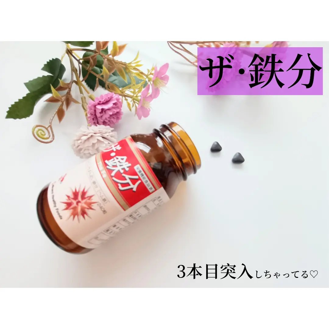 ザ・鉄分/ミナミヘルシーフーズ/健康サプリメントを使ったクチコミ（1枚目）