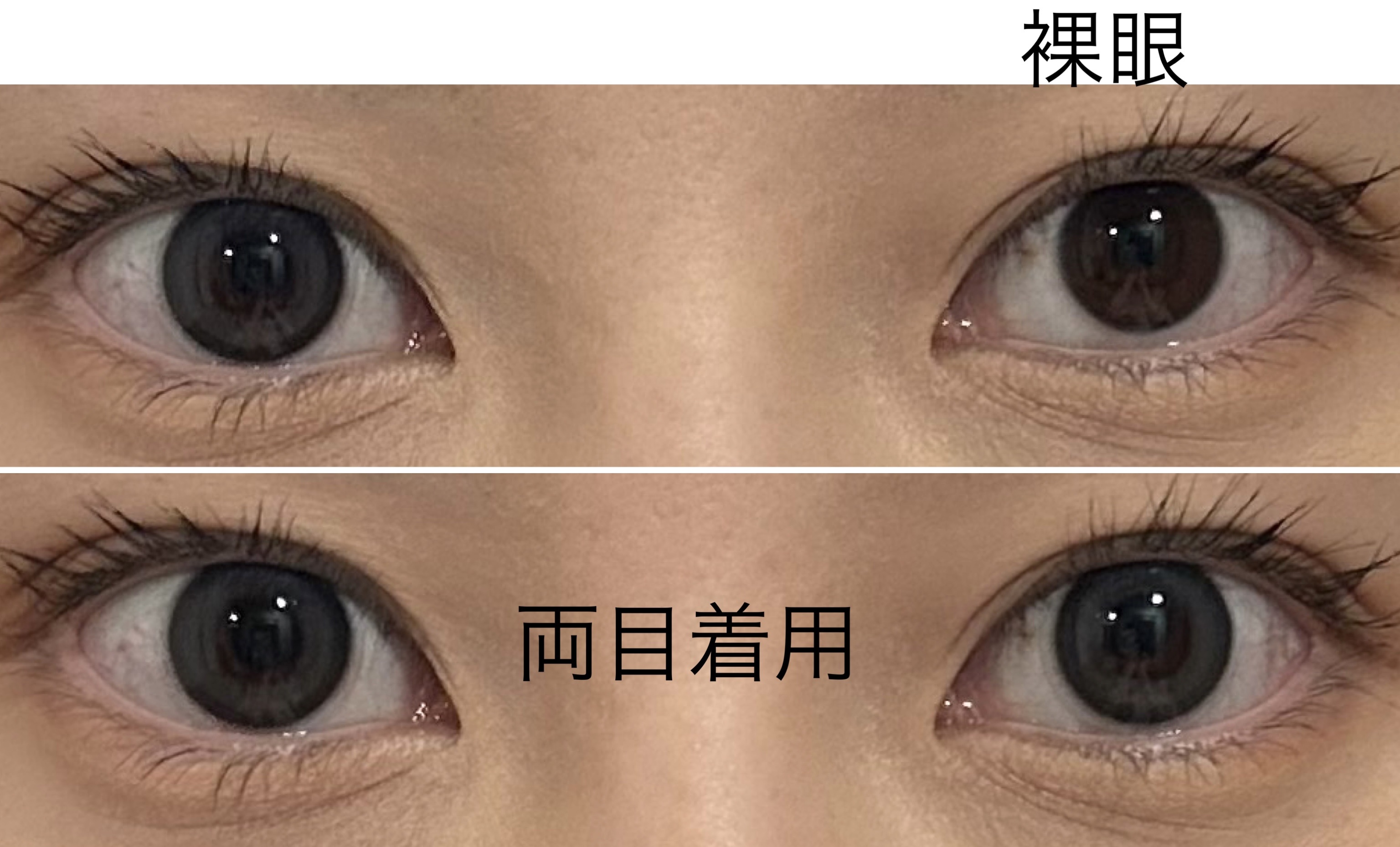 MER MER エレガントシリーズ/MERMER/カラーコンタクトレンズを使ったクチコミ（3枚目）