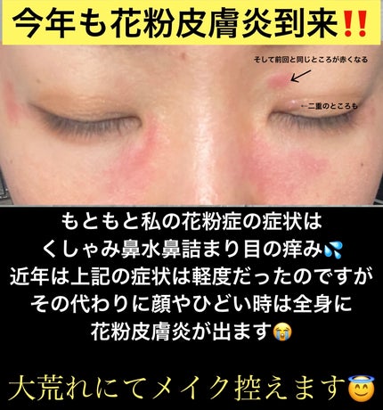 シャドウパレット/dasique/アイシャドウパレットを使ったクチコミ(2枚目)