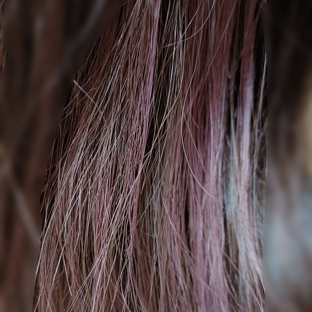 カラーキープ シャンプー/ALIVE/サロンシャンプーを使ったクチコミ（2枚目）