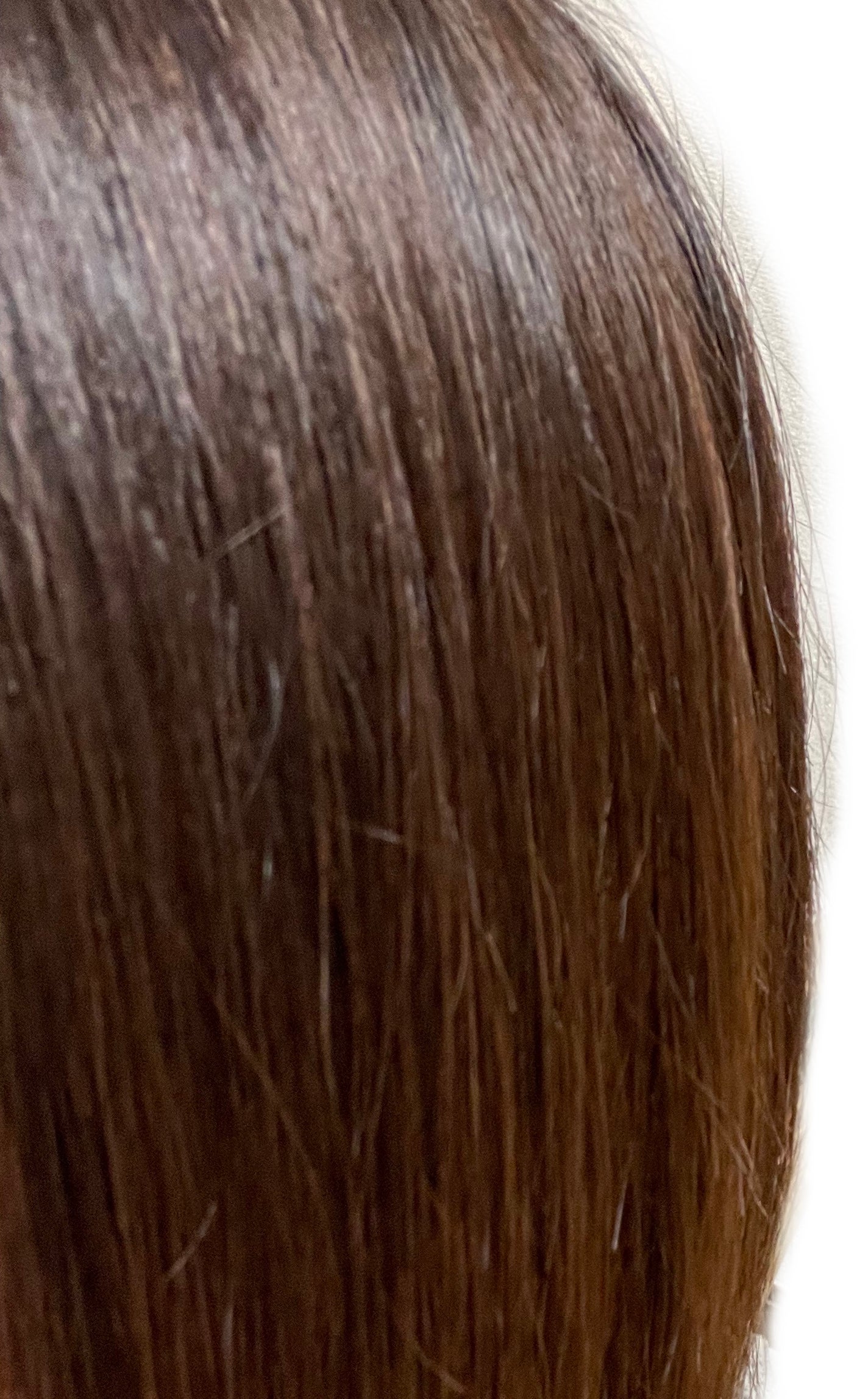 ダメージリペア&カラーケア シャンプー/コンディショナー/いち髪/市販シャンプーを使ったクチコミ(5枚目)