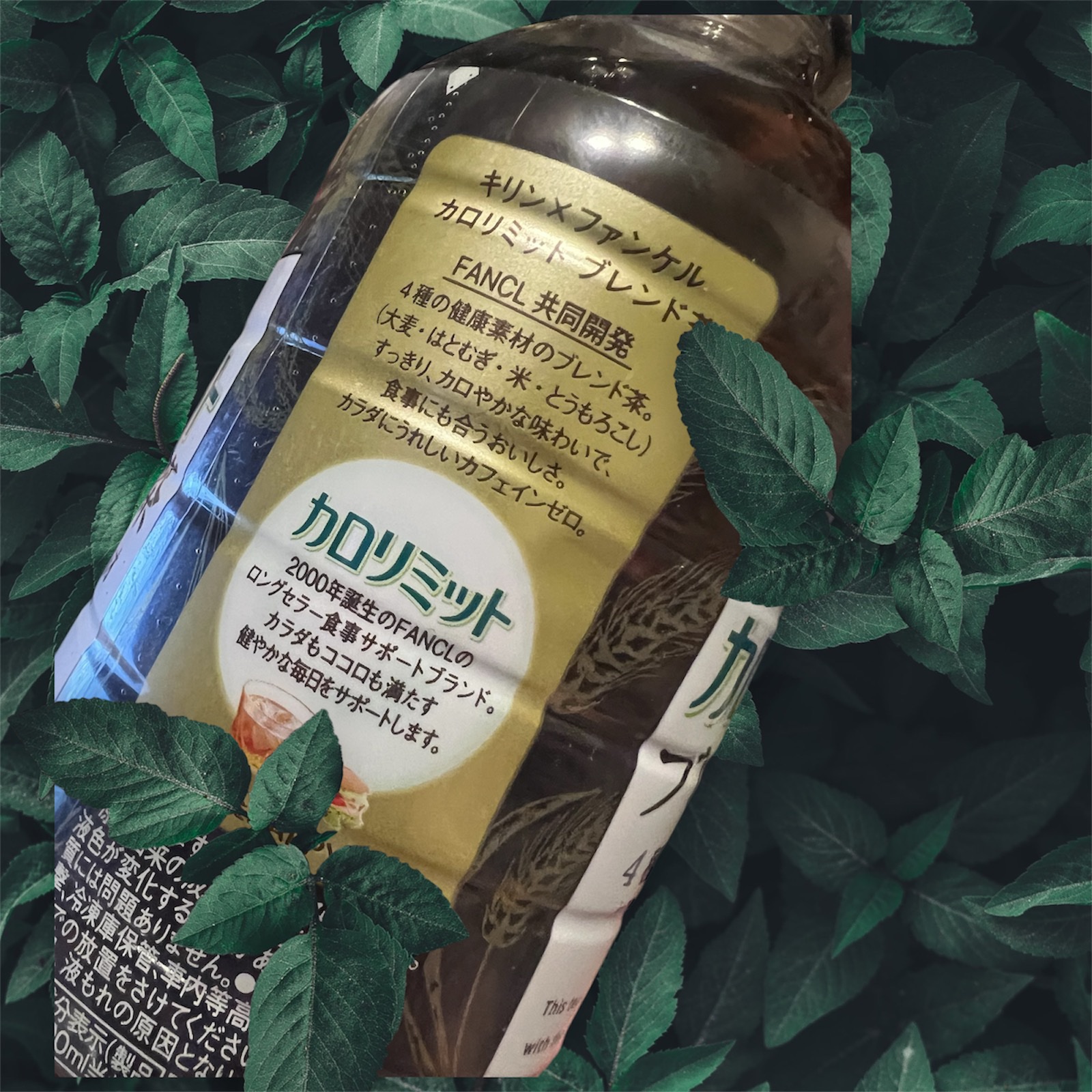 キリン×ファンケル カロリミット ブレンド茶/ファンケル/ドリンクを使ったクチコミ（3枚目）