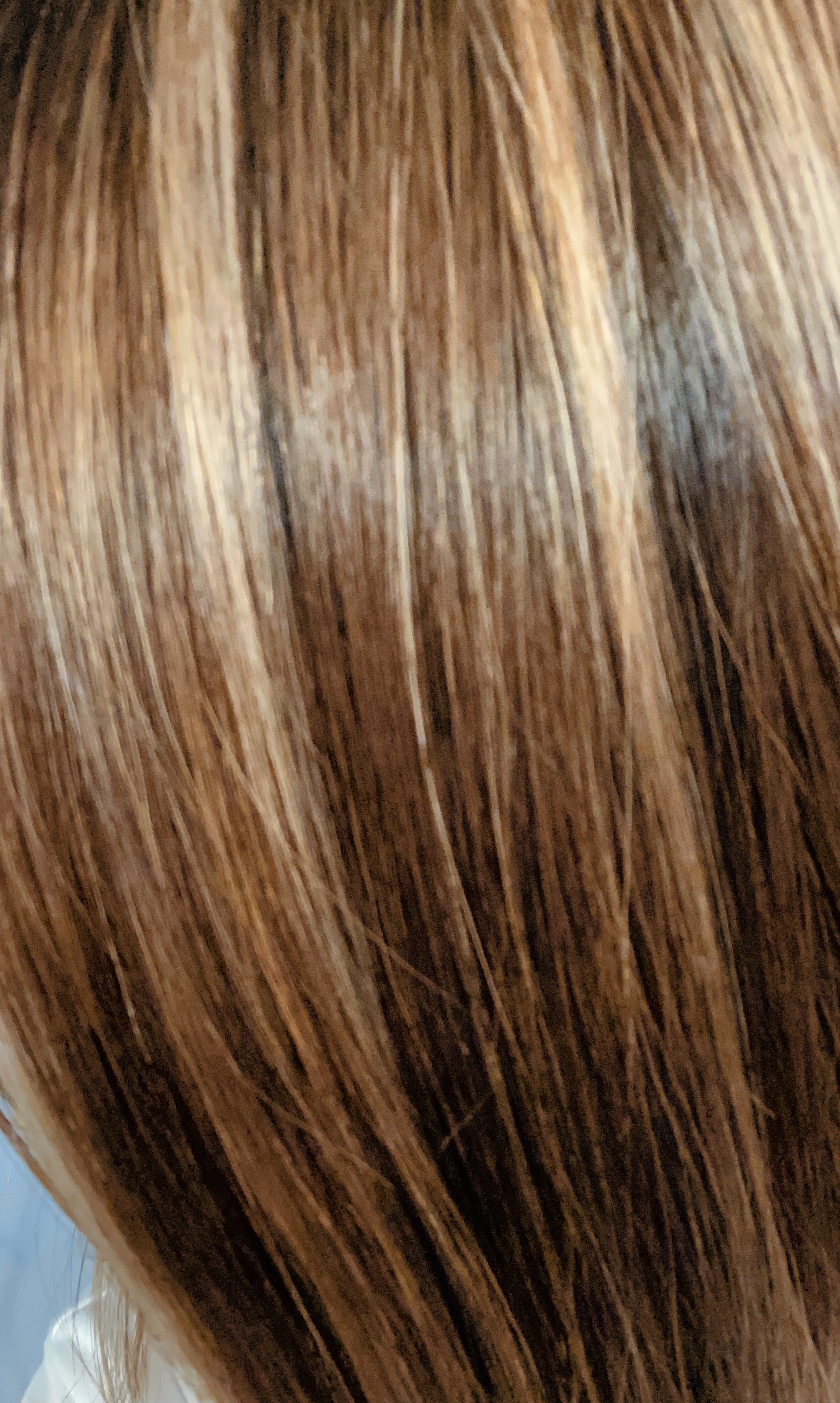 ディープモイスト ヘアオイル/モロッカンビューティ/ヘアオイルを使ったクチコミ（1枚目）