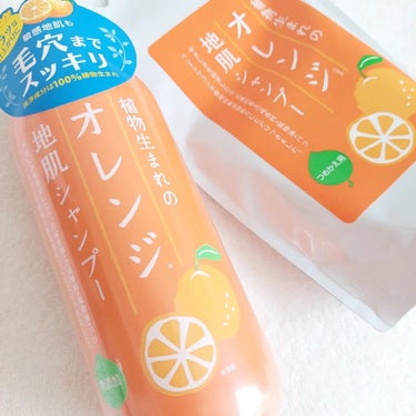 植物生まれのオレンジ地肌シャンプーS／オレンジ果汁トリートメントN/石澤研究所/シャンプー・コンディショナーを使ったクチコミ（1枚目）