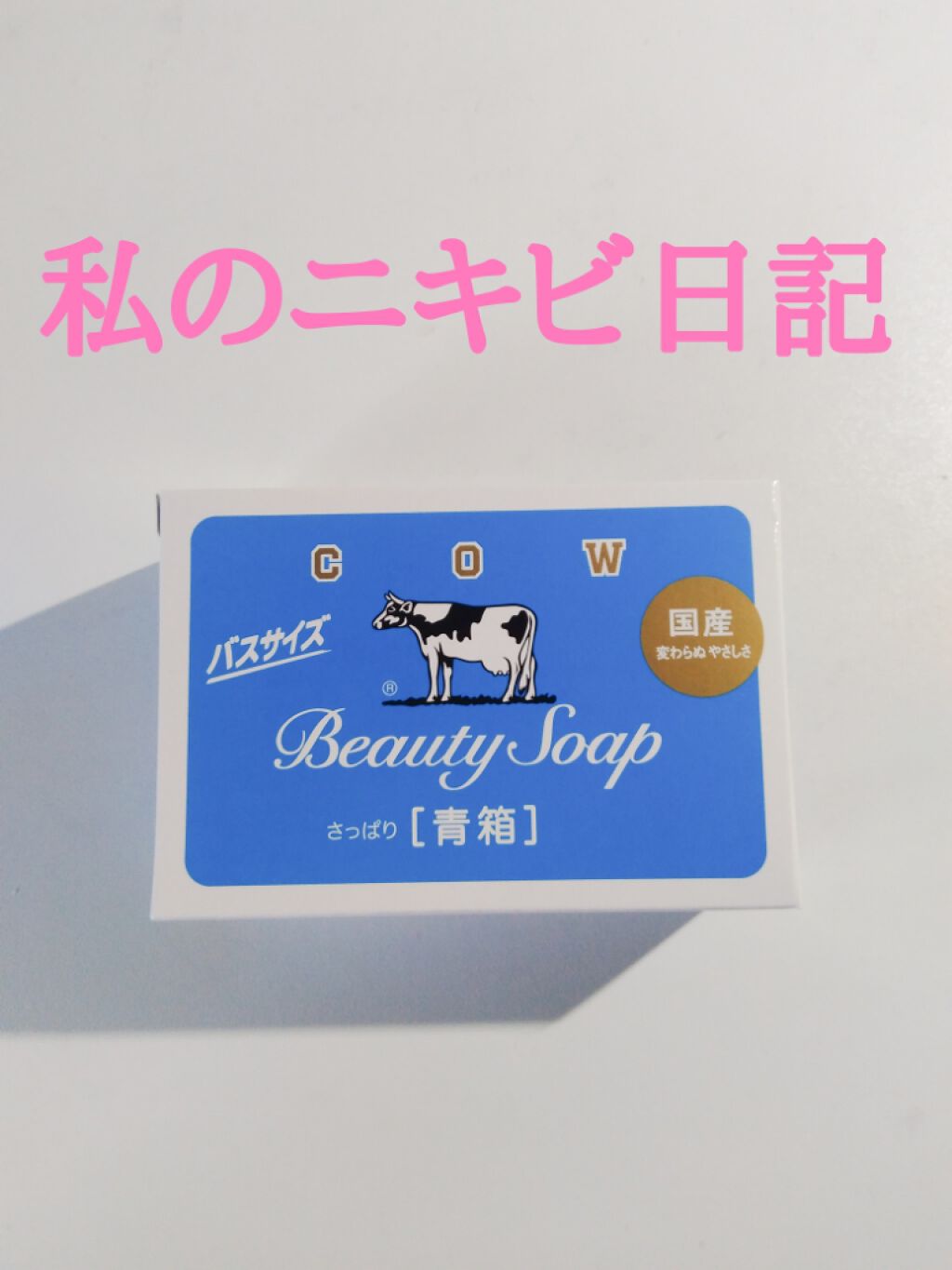 Ａ アクネジェル/NOV/美容液を使ったクチコミ（1枚目）