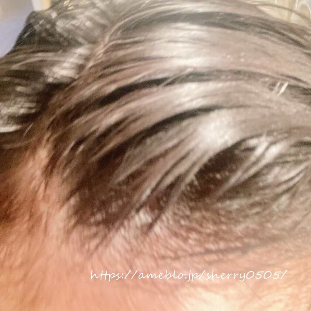 カラートリートメント アッシュブラック/サイオス/ヘアカラーを使ったクチコミ（3枚目）