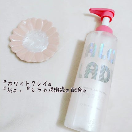 サロンレディ クレンジングクレイシャンプー/SALON LADY/市販シャンプーを使ったクチコミ(2枚目)