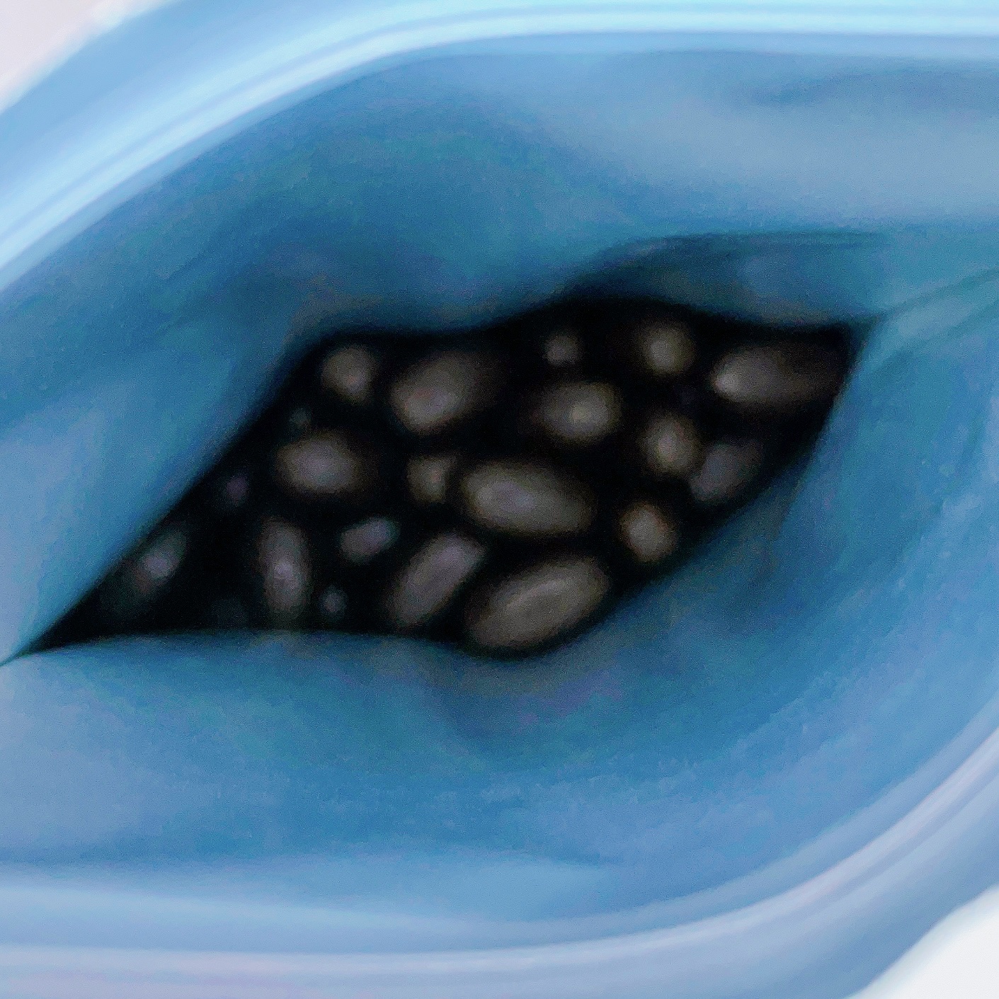 ベルタ ママリズム/BELTA(ベルタ)/健康サプリメントを使ったクチコミ（3枚目）