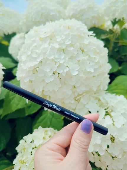 スマートアイブロウ/Sinfa Mode/リキッドアイブロウを使ったクチコミ(1枚目)