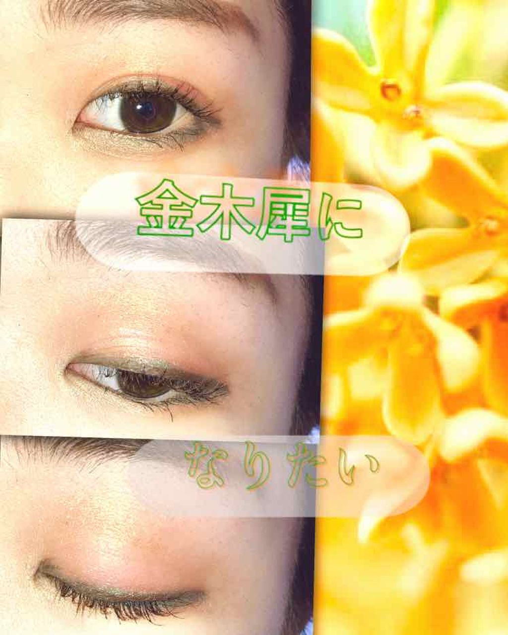 パーフェクトマルチアイズ/キャンメイク/アイシャドウパレットを使ったクチコミ(1枚目)