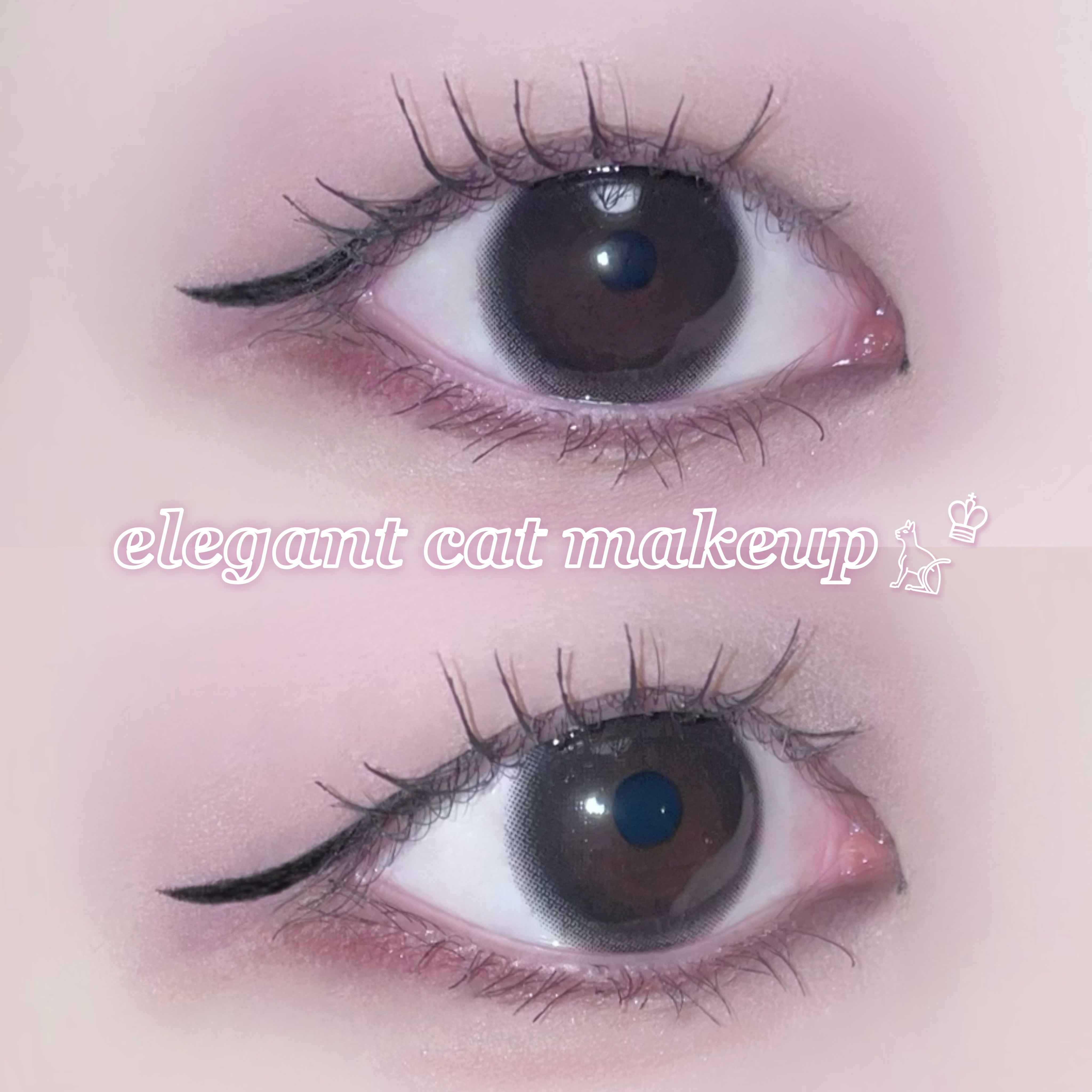 プロ アイ パレット/CLIO/アイシャドウパレットを使ったクチコミ（1枚目）