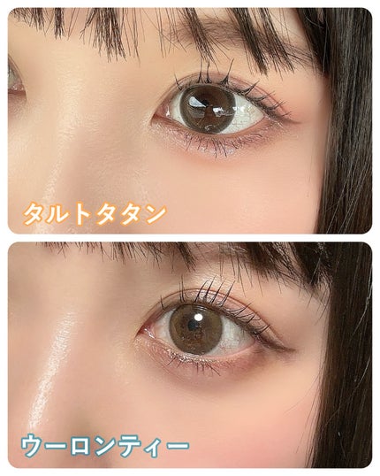 feliamo 1day/feliamo/ワンデー(1DAY)カラコンを使ったクチコミ(1枚目)