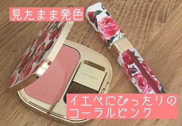 ドルチェシモ マット リキッド リップカラー/DOLCE&GABBANA BEAUTY/口紅を使ったクチコミ（1枚目）