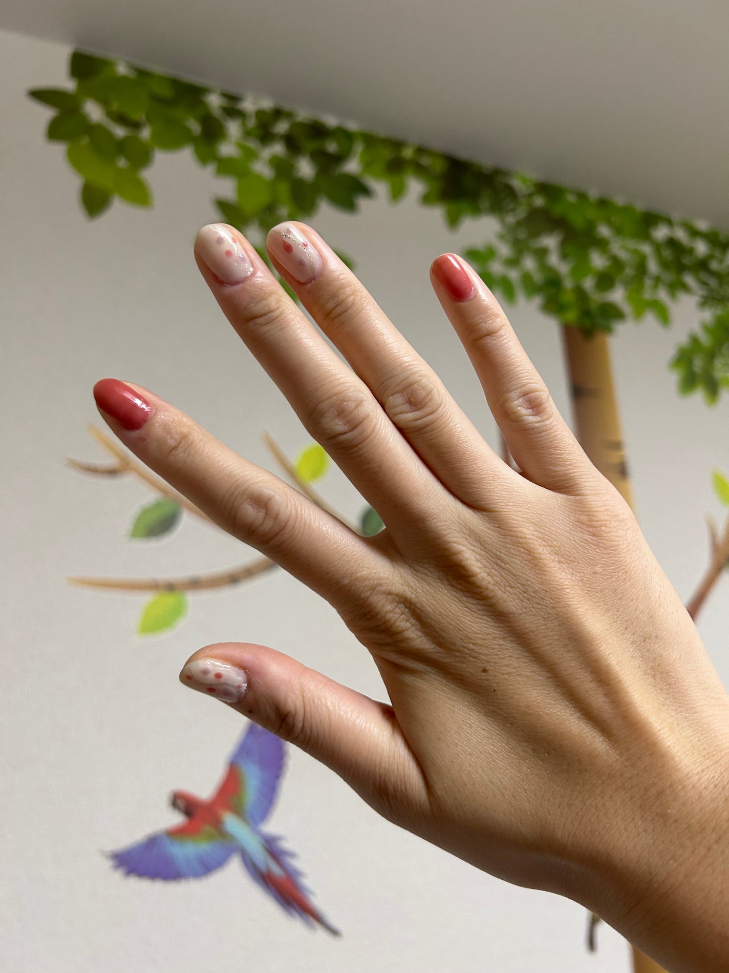 カラフルネイルズ/キャンメイク/マニキュアを使ったクチコミ(1枚目)