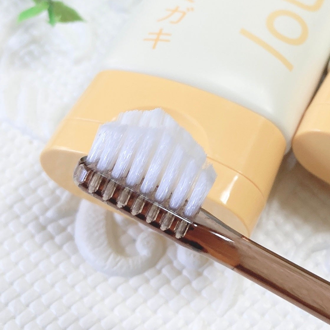 かじゅかじゅ on LIPS 「*HaRENO/薬用ハミガキ*エイジングケア*¹発想の薬用ハ..」(4枚目)