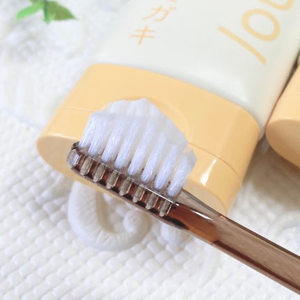 かじゅかじゅ on LIPS 「*HaRENO/薬用ハミガキ*エイジングケア*¹発想の薬用ハ..」(4枚目)