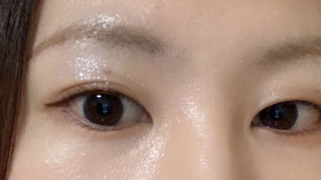 ナイストゥミーチュートランク VI 北半球/MAJOLICA MAJORCA/アイシャドウパレットを使ったクチコミ（2枚目）