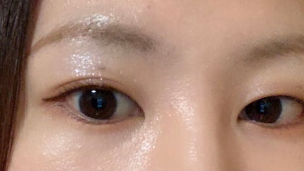 ナイストゥミーチュートランク VI 北半球/MAJOLICA MAJORCA/アイシャドウパレットを使ったクチコミ(2枚目)