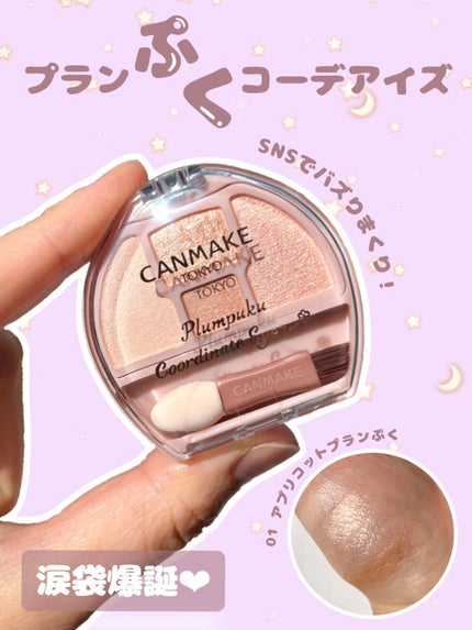 プランぷくコーデアイズ/キャンメイク/パウダーアイシャドウを使ったクチコミ(1枚目)
