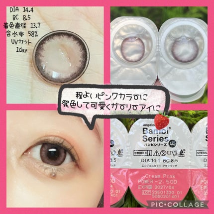 Angelcolor Bambi Series 1day /AngelColor/ワンデー(1DAY)カラコンを使ったクチコミ(2枚目)