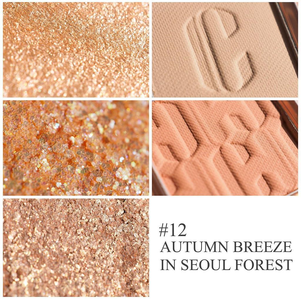 プロ アイ パレット/CLIO/アイシャドウパレットを使ったクチコミ(10枚目)