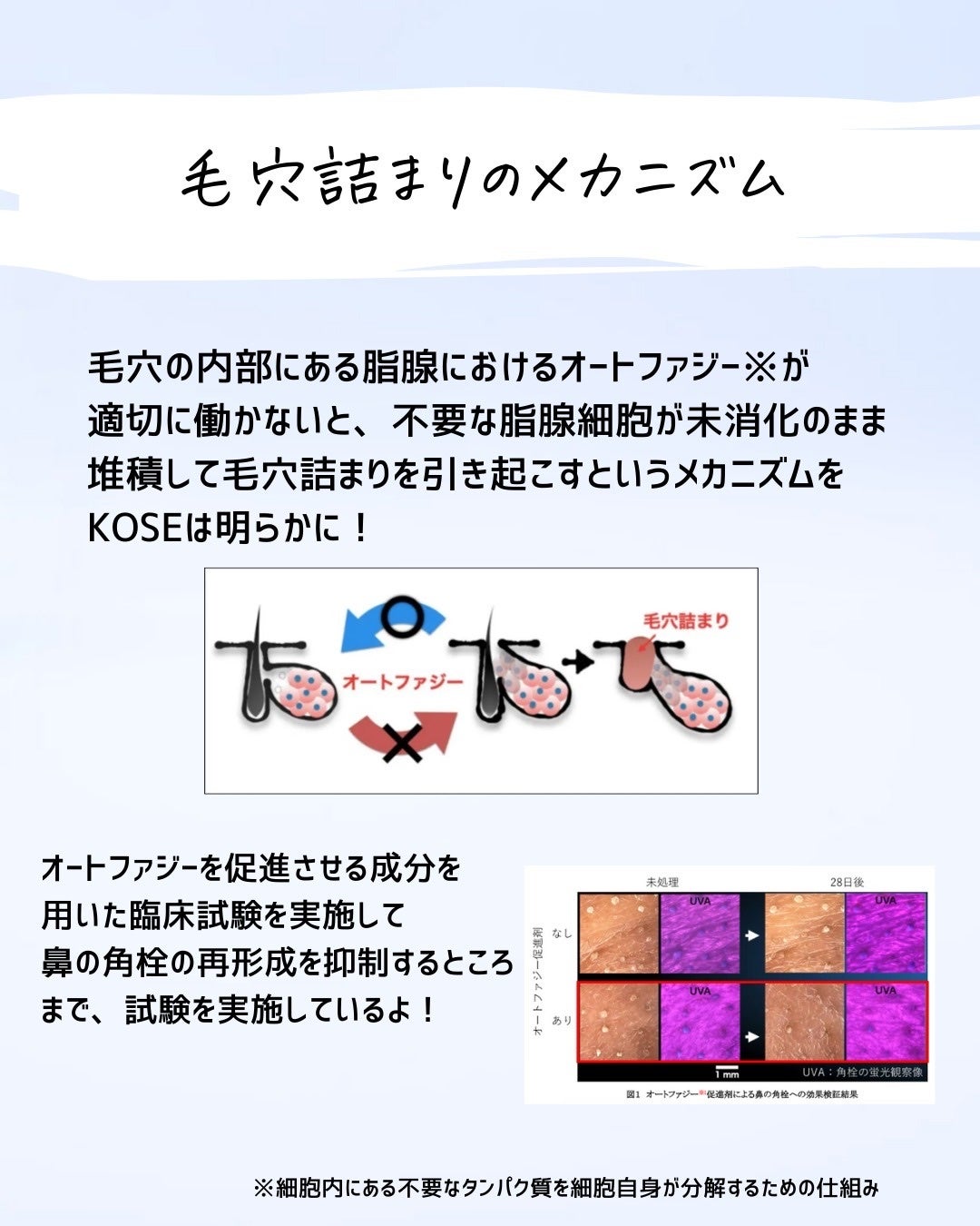 とまと村長@化粧品研究者 on LIPS 「\毛穴、マジ無理/毛穴ケアと言っても色々種類があるんだけど、そ..」(3枚目)