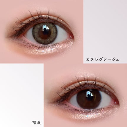 PAN太@フォロバ on LIPS 「【新色】ナチュラル細フチグレージュカラコン✨モアコン専売カラコ..」(7枚目)