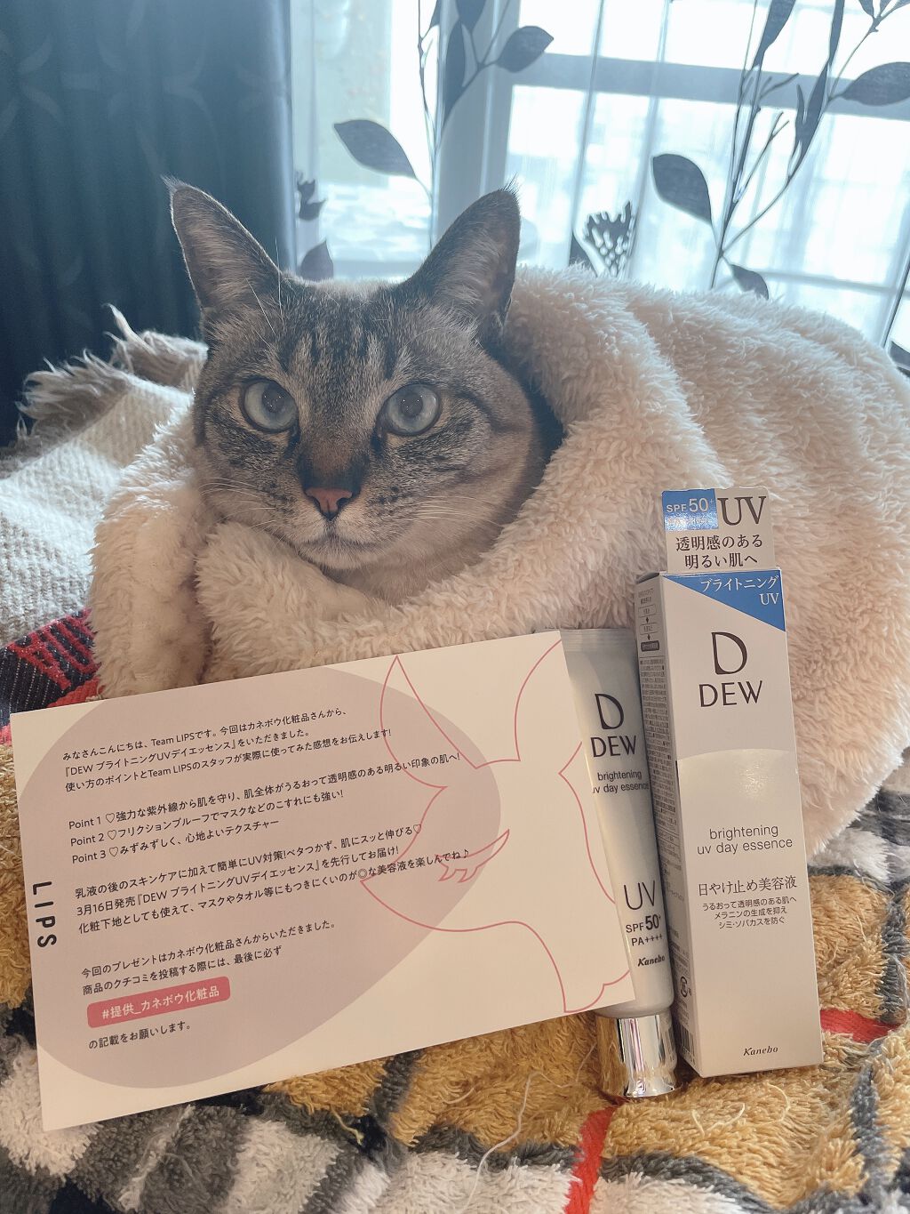 ブライトニングUVデイエッセンス/DEW/美容液を使ったクチコミ(1枚目)