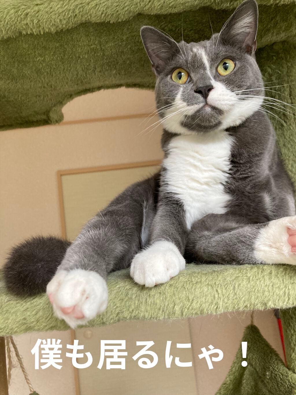 ロートCキューブ m(医薬品)/ロート製薬/その他を使ったクチコミ(4枚目)