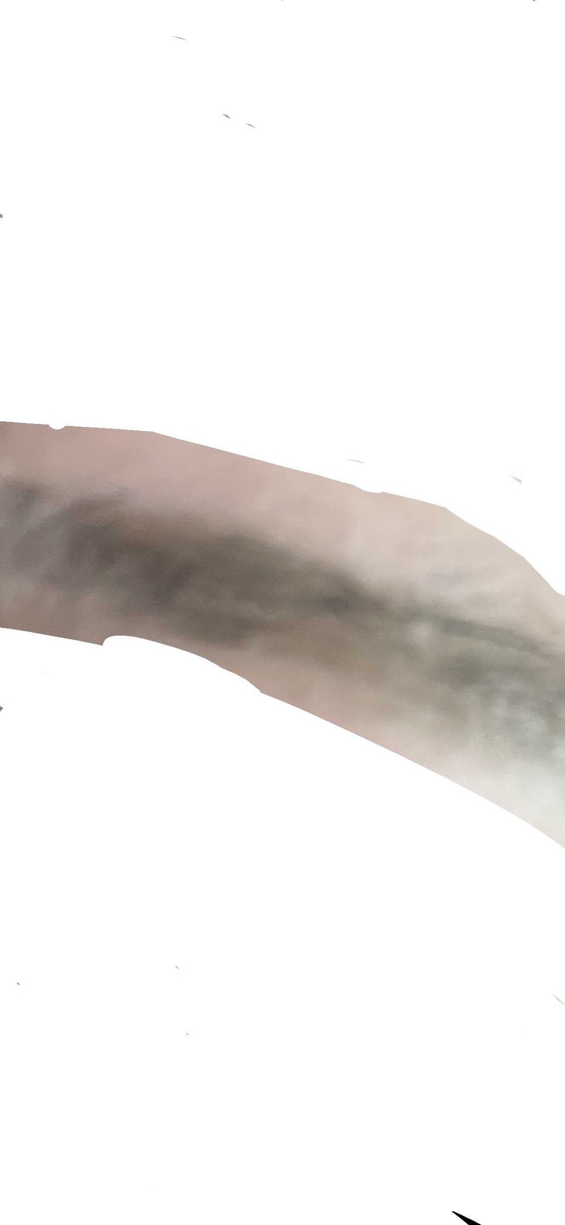 クレヨンコンシーラー/チャコット・コスメティクス/ペンシルコンシーラーを使ったクチコミ（1枚目）