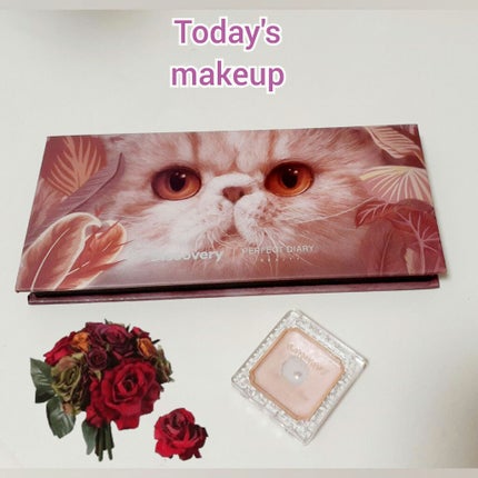 エクスプローラ12色 動物アイシャドウパレット/PERFECT DIARY/アイシャドウパレットを使ったクチコミ(1枚目)