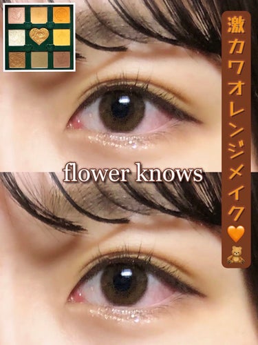 Love Bear 9色 アイシャドウパレット/FlowerKnows/アイシャドウパレットを使ったクチコミ（1枚目）