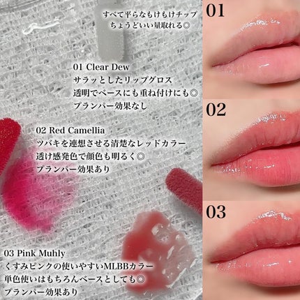 ナチュラルブルームリップオイルセラム 3色セット/PINATE/リップグロスを使ったクチコミ(3枚目)