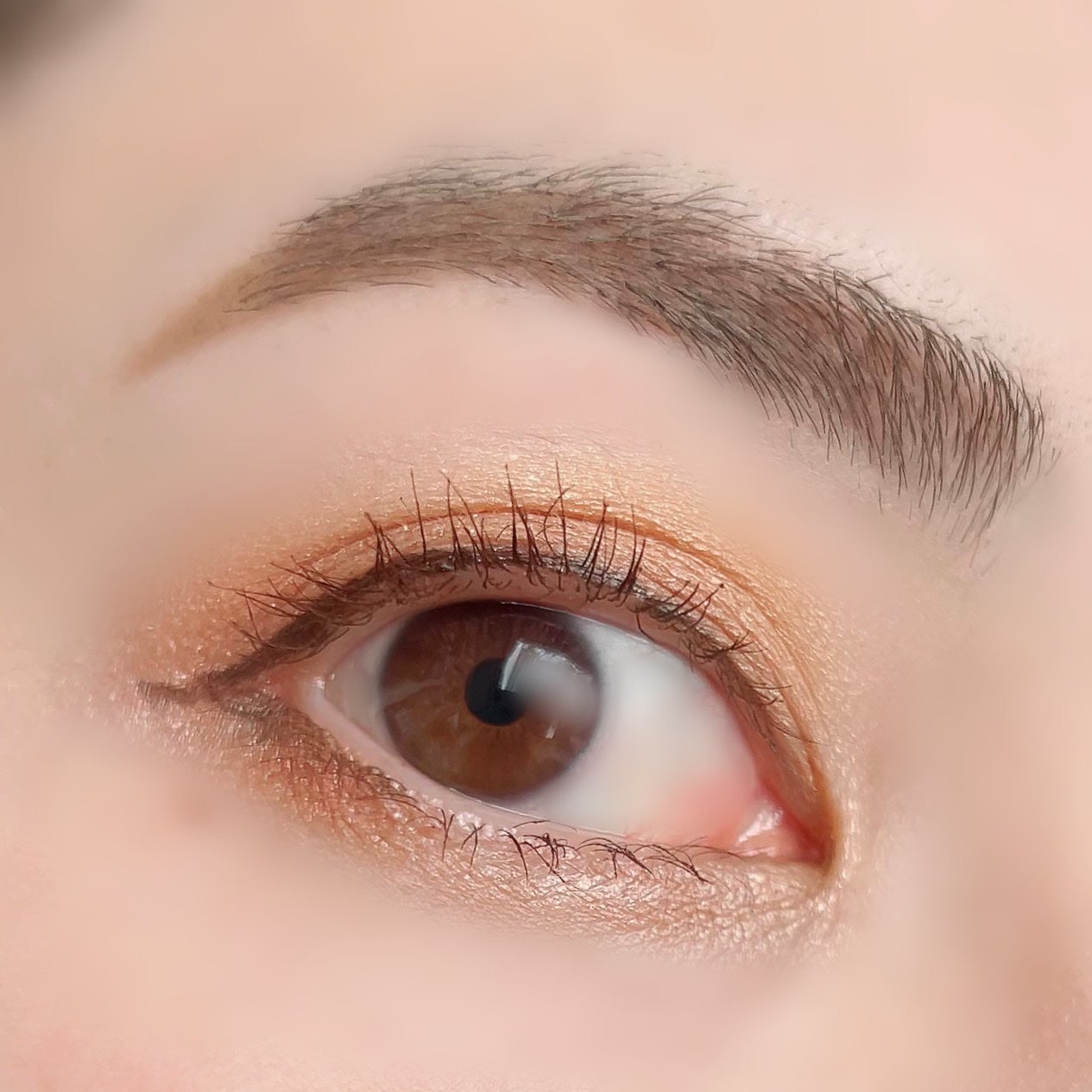 カラーシェイクライナー/C’est la pointe/リキッドアイライナーを使ったクチコミ(6枚目)