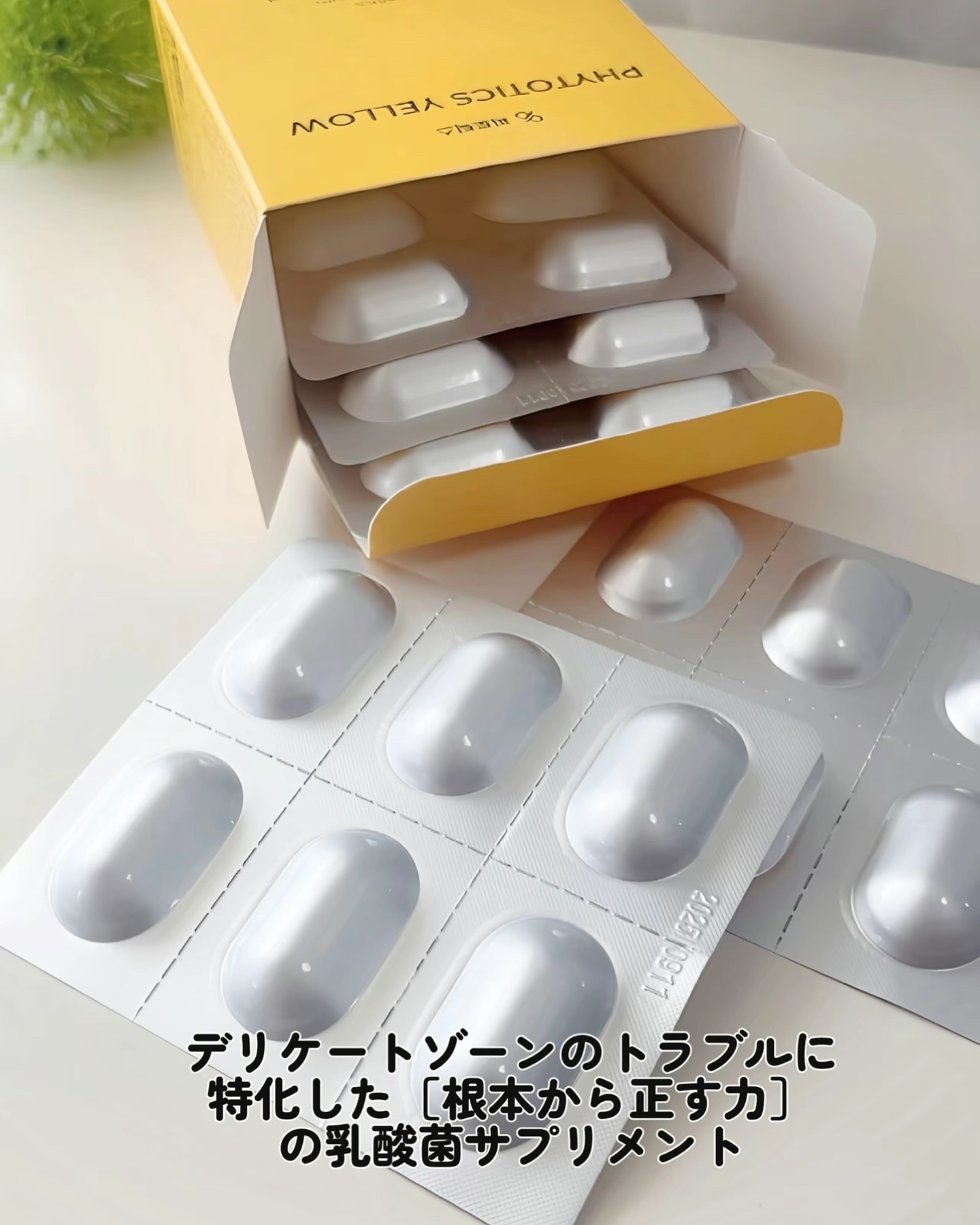 フィトティクス黄色/PHYTOTICS/美容サプリメントを使ったクチコミ（3枚目）