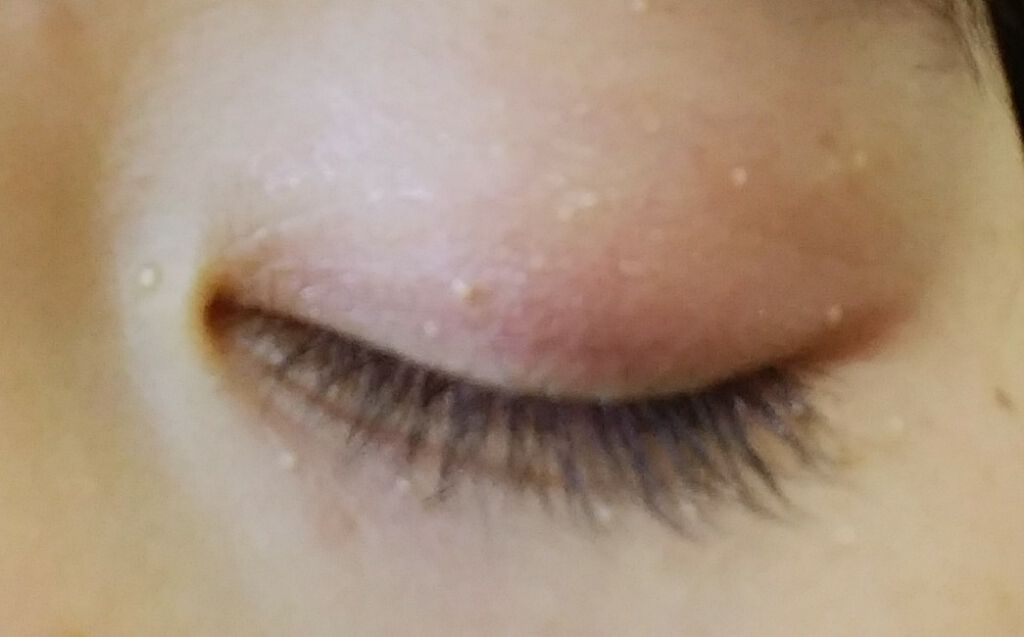 WHY NOT SPINNS 3色アイシャドウ ピンクファー/DAISO/アイシャドウパレットを使ったクチコミ（2枚目）